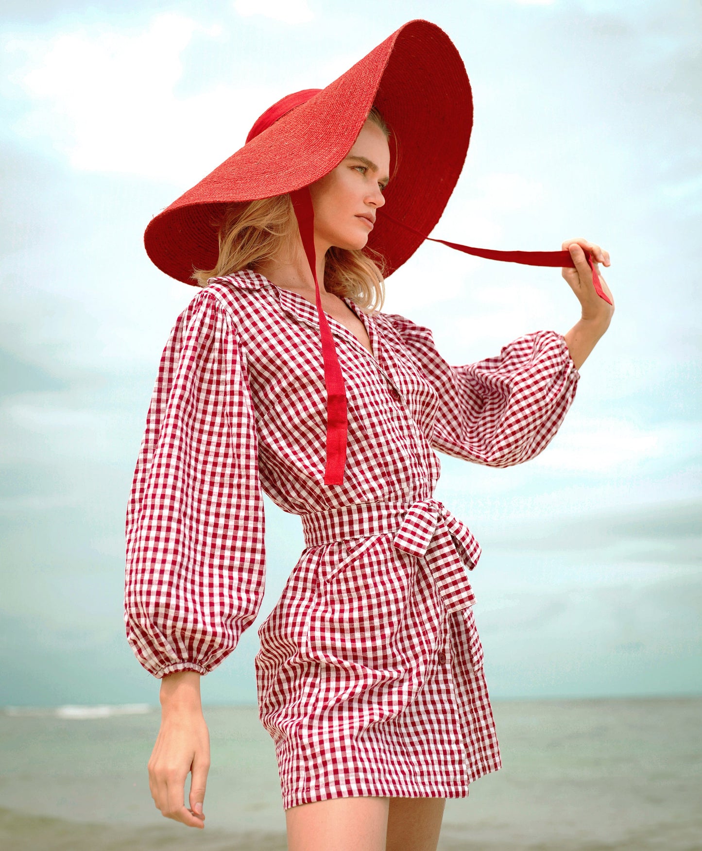 Mini Red Gingham Dress